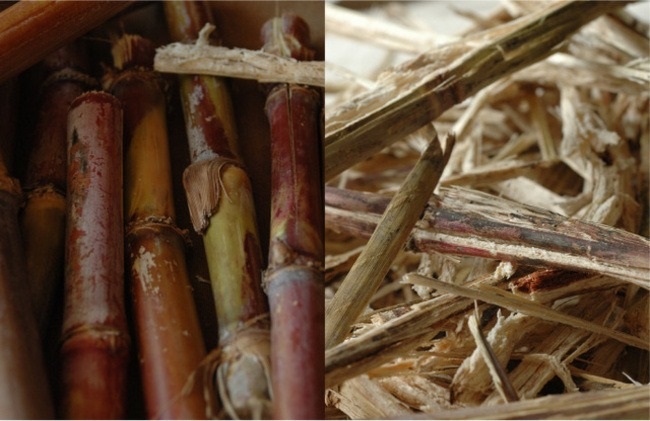 What is Sugarcane bagasse ?