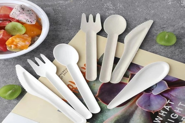 100% biodegradable paper cutlery manufacturer in Gujarat, India