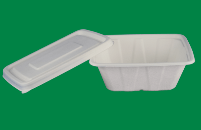 Container With Lid 32oz (1000ML) Rectangle Container with Lid