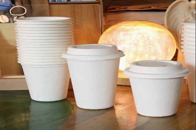 Disposable bowl manufacturer in rajkot gujarat india, Disposable cup manufacturer in rajkot india