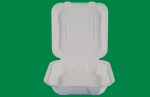 Sugarcane Bagasse Clamshell Manufacturer in Rajkot Gujarat India, biodegradable clamshell supplier,manufacturer in Rajkot Gujarat India