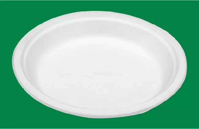 Compostable Disposable Paper Plates Manufacturer and Supplier in India